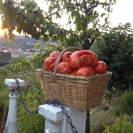 Il Borgo Delle Grazie Villa Ovada Dış mekan fotoğraf