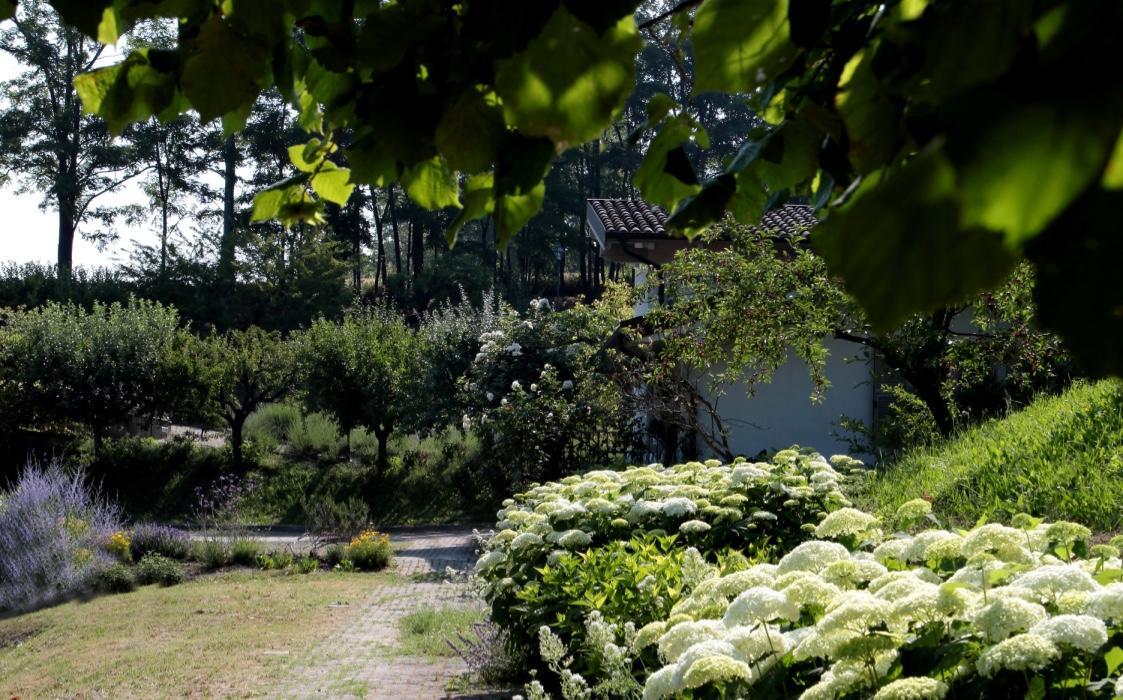 Il Borgo Delle Grazie Villa Ovada Dış mekan fotoğraf