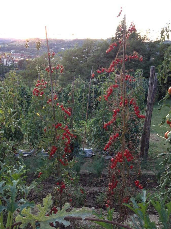 Il Borgo Delle Grazie Villa Ovada Dış mekan fotoğraf