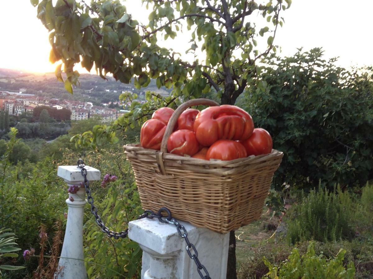 Il Borgo Delle Grazie Villa Ovada Dış mekan fotoğraf